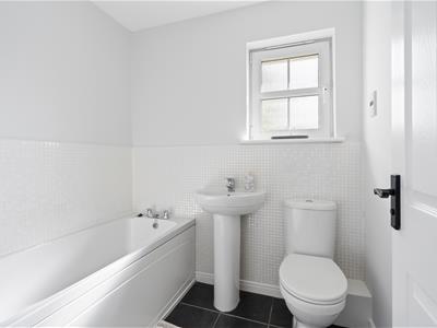 Picture 22